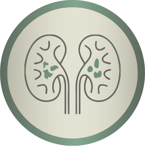 Kidney-and-Urinary-Disorders-Signature-Cures