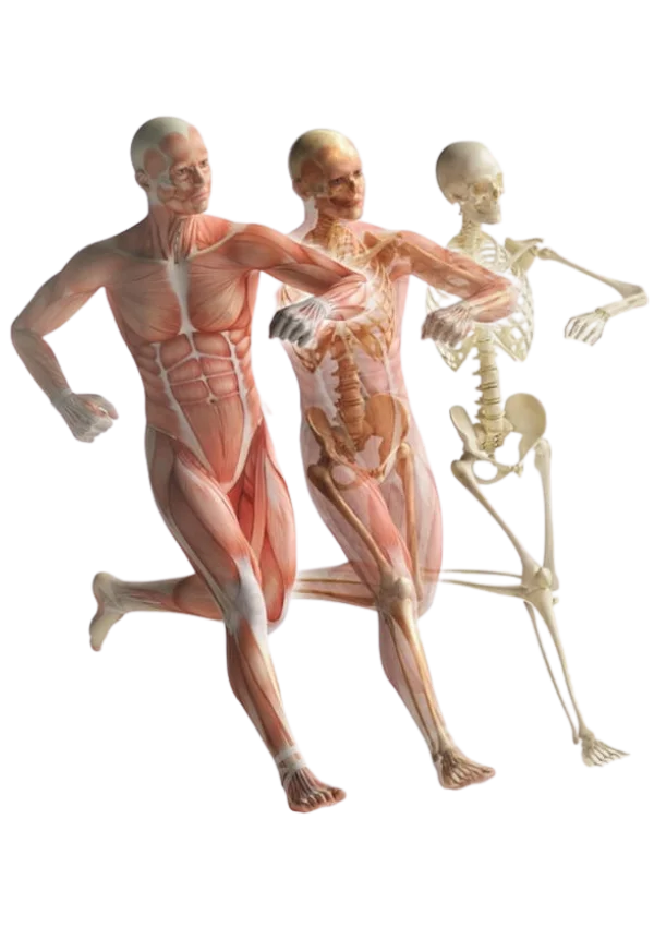 Cure4Pain Clinic - Integrative and holistic healthcare clinic in Mumbai, India